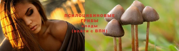 трава Покров