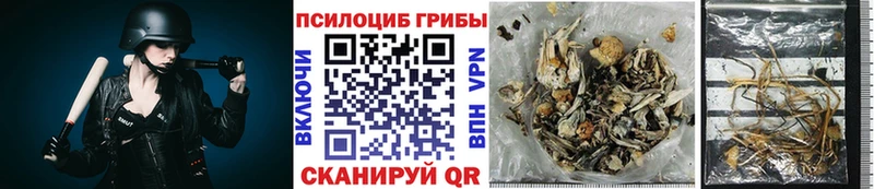 Галлюциногенные грибы MAGIC MUSHROOMS  Нея 